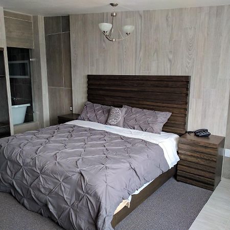 Hotel Aeropuerto Толука-де-Лердо Экстерьер фото